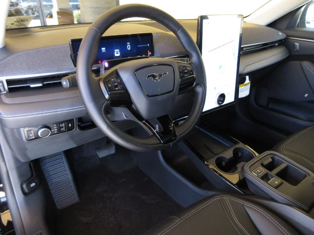 New 2026 Shadow Black Ford Premium image 13