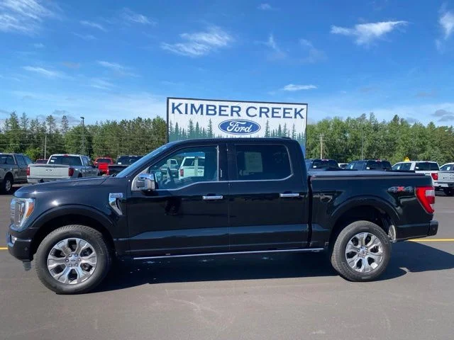 Used 2022 Ford F-150 Platinum with VIN 1FTFW1E80NFA49586 for sale in Pine River, Minnesota