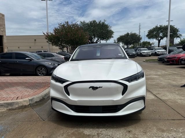 Used 2024 White Ford Premium image 12