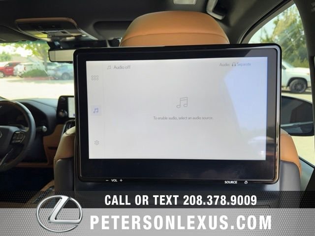 Used 2025 Black Lexus LUXURY image 21