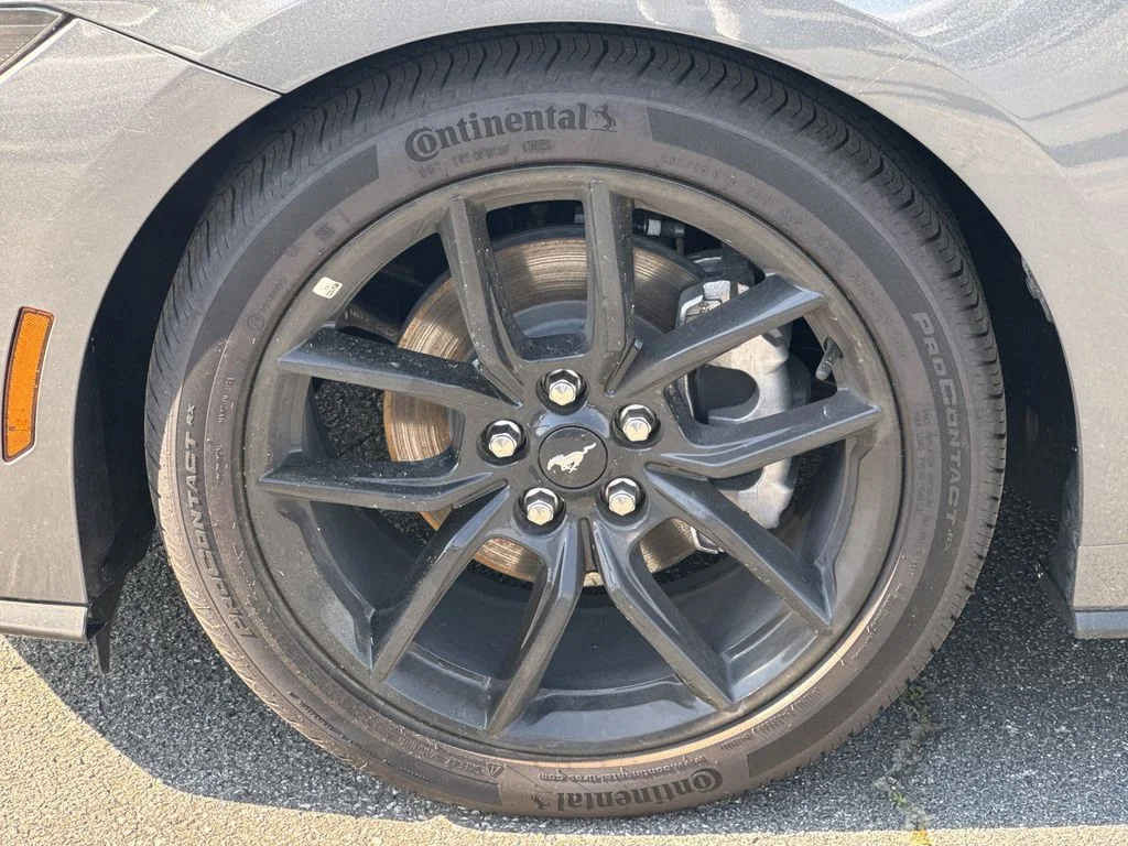 New 2026 Carbonized Gray Metallic Ford EcoBoost® Fastback image 11