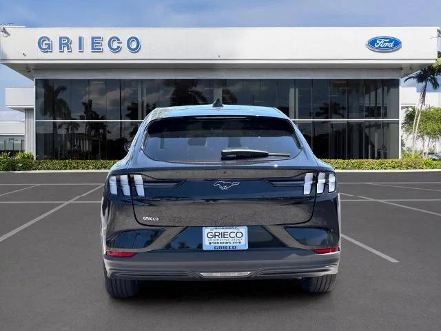 New 2026 Shadow Black Ford Premium image 21