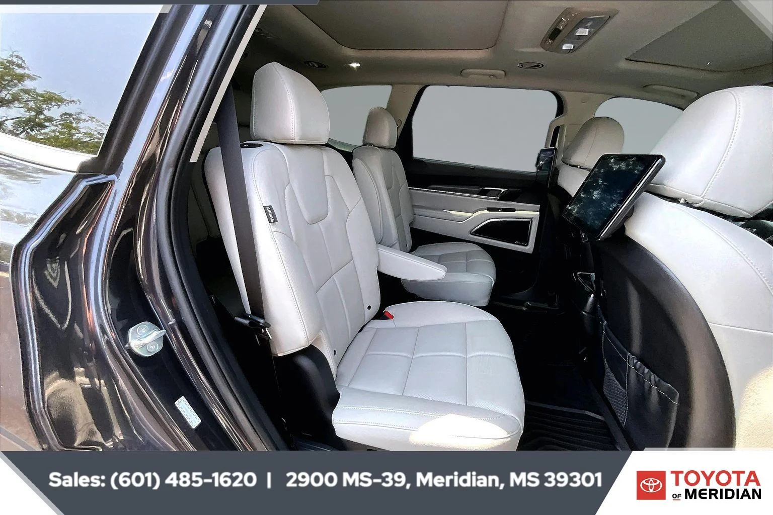 Used 2025 Panthera Metal Kia SX image 20
