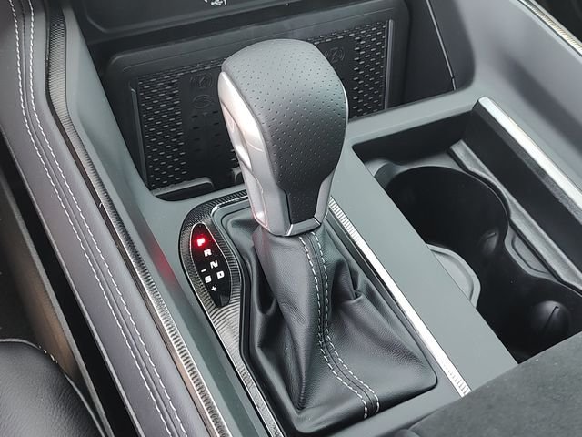 New 2026 Diamond Black Crystal Pearl-Coat Exterior Paint RAM RHO image 19