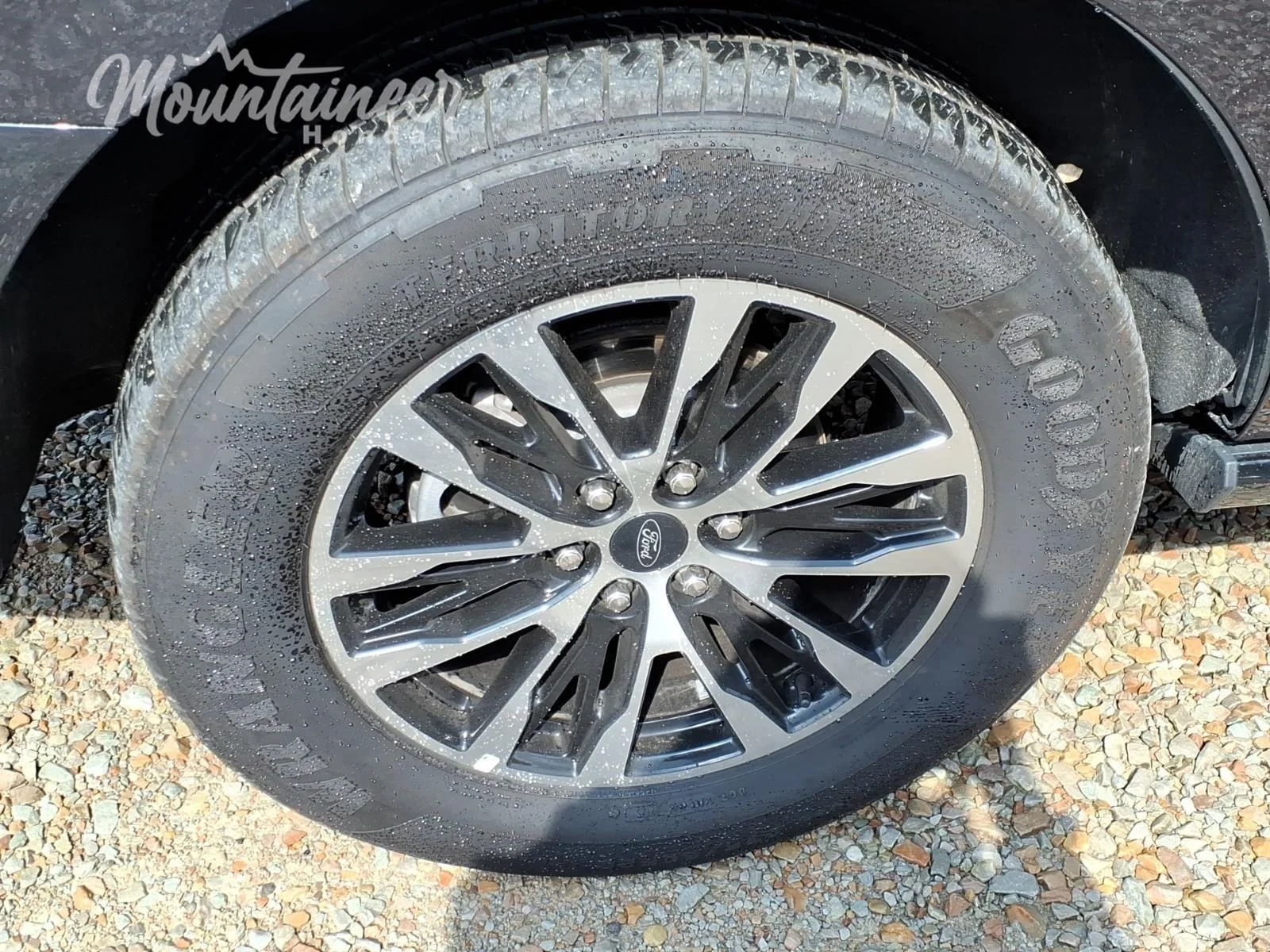 Used 2025 Dark Matter Gray Ford Platinum image 12