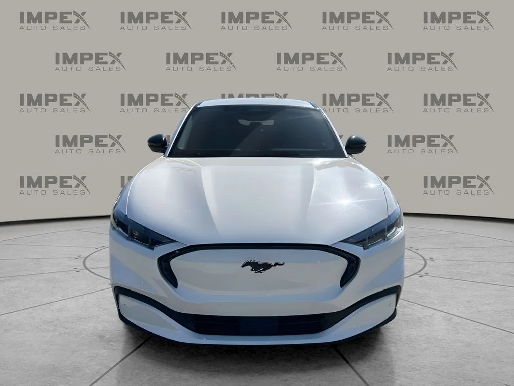 Used 2025 White Ford Premium image 8