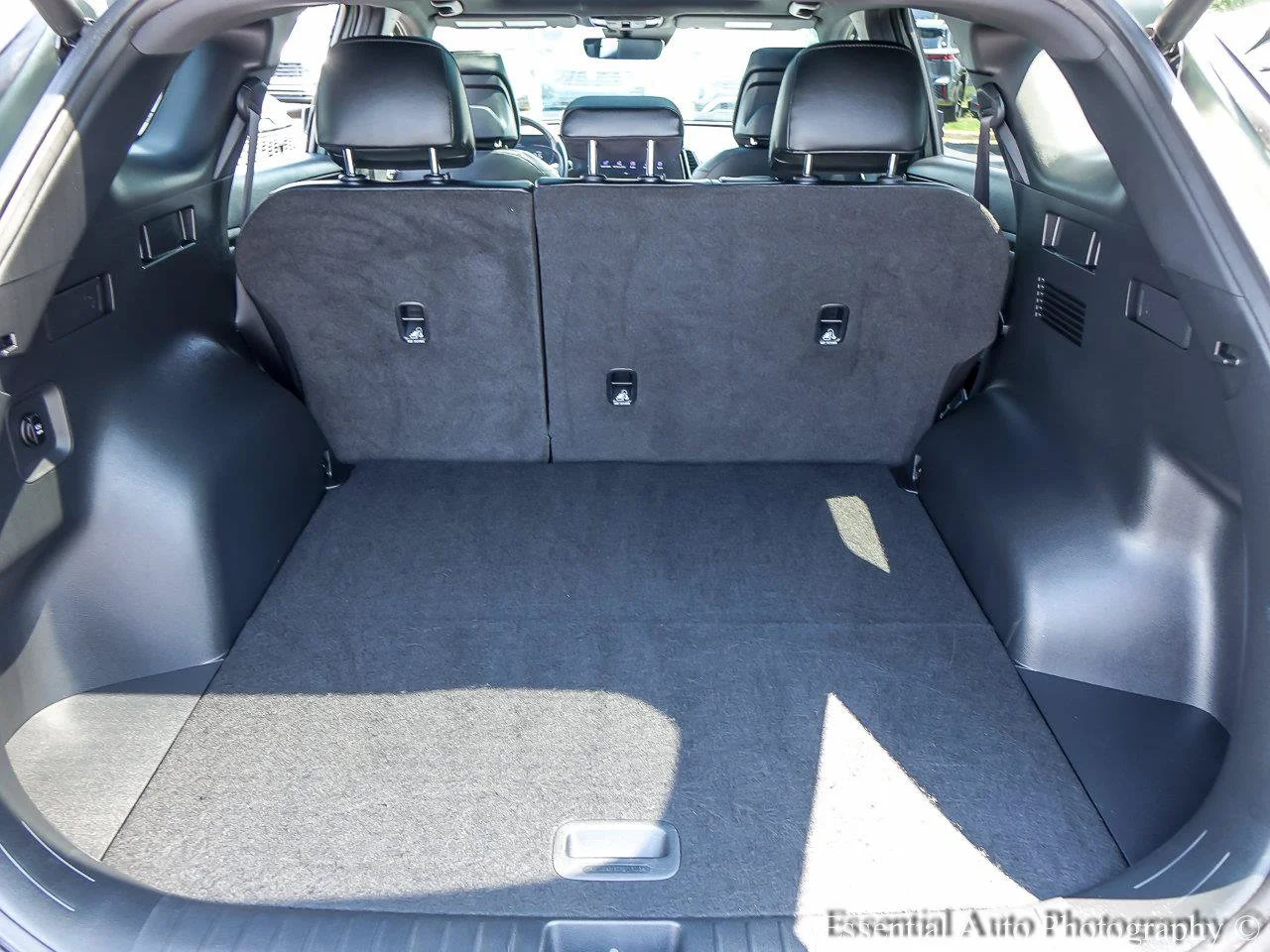 Used 2024 Jungle Green Kia X-Line image 22