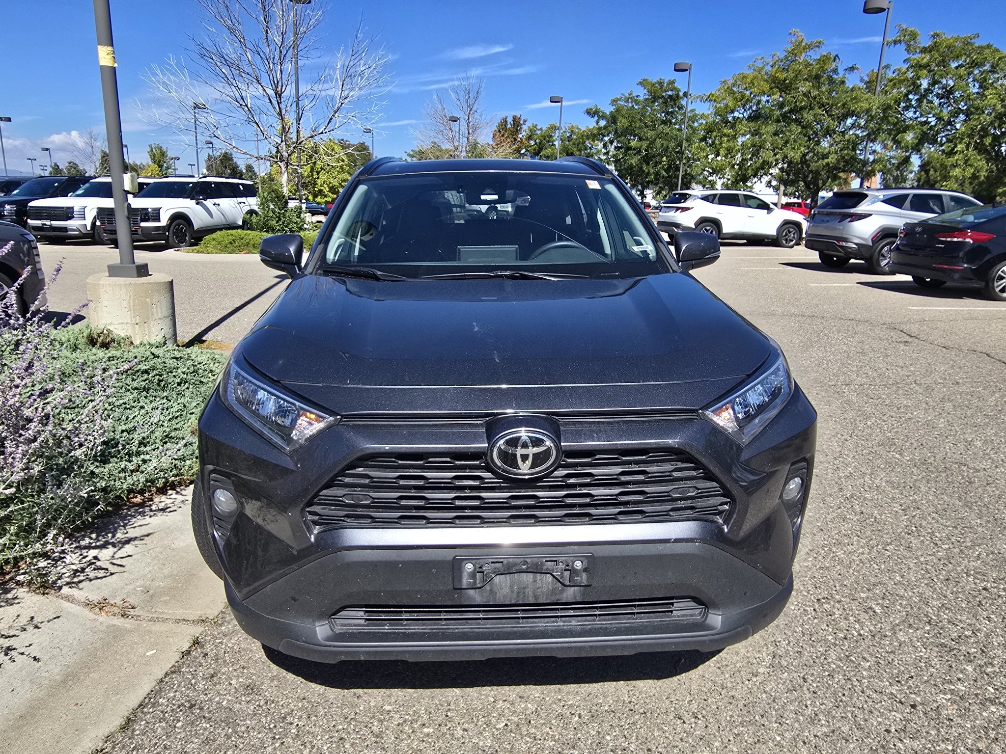 Used 2020 Magnetic Gray Metallic Toyota XLE Premium image 8