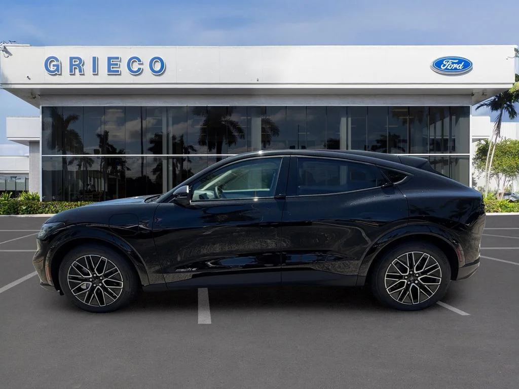 New 2026 Shadow Black Ford Premium image 4