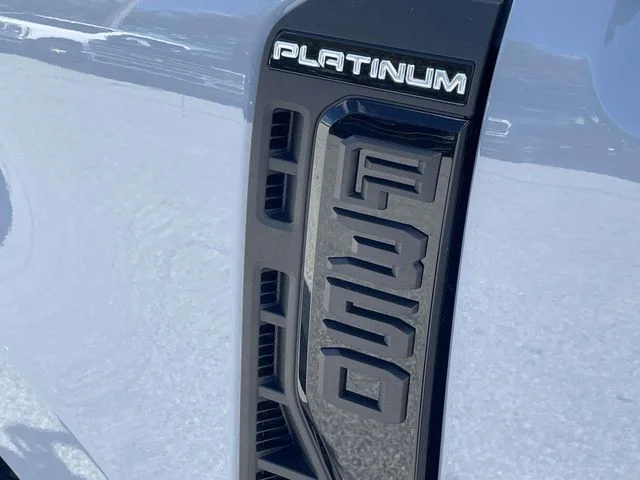 New 2026 Gray Ford Platinum image 22