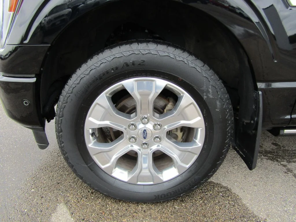 Used 2022 Agate Black Metallic Ford Platinum image 12