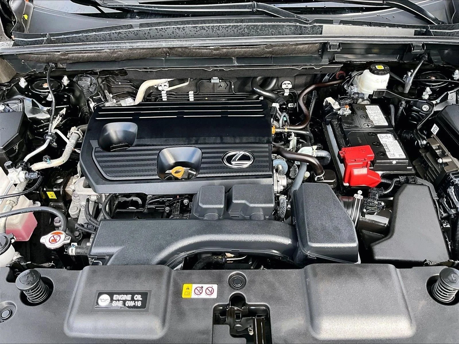 Used 2025 Caviar Lexus NX 250 image 11