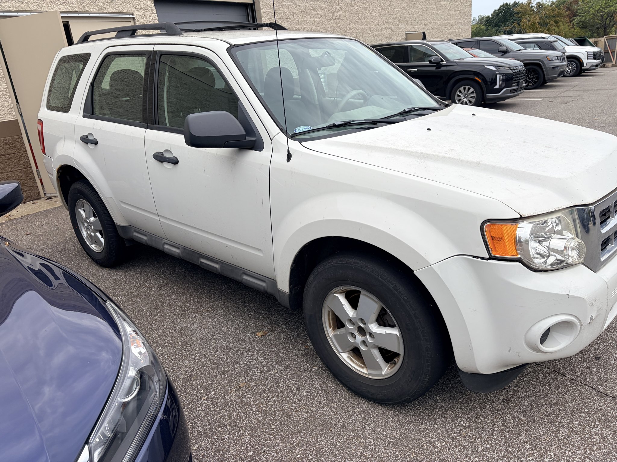 Used 2010 Oxford White (Fleet) Ford XLS image 6