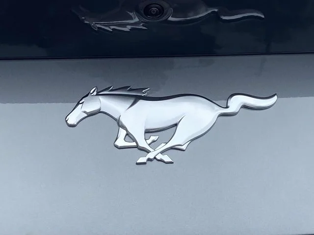 New 2026 Gray Ford EcoBoost image 9