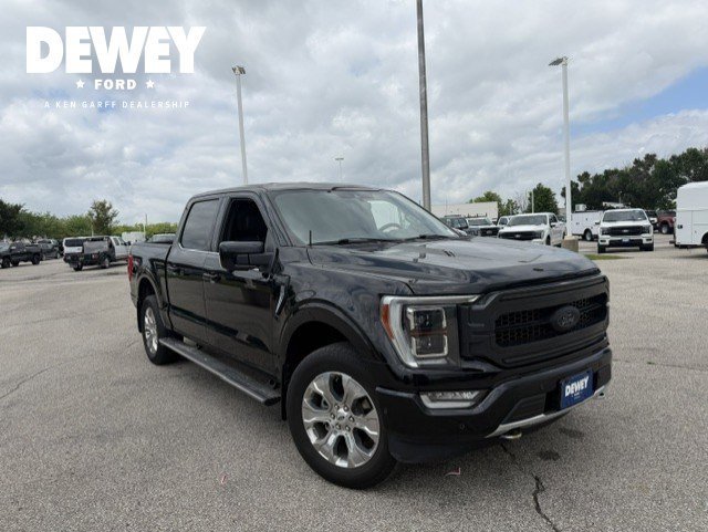 Used 2022 Black Metallic Ford Platinum image 1