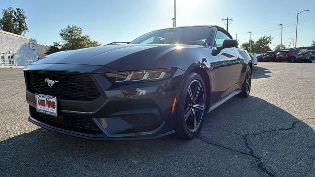 Used 2024 Gray Ford EcoBoost Premium image 9