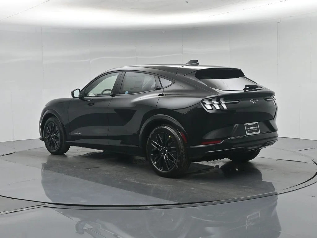 New 2026 Shadow Black Ford Premium image 6