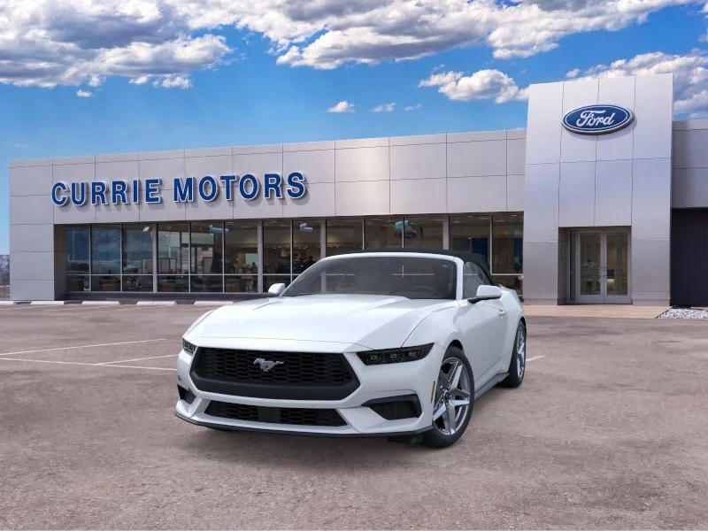 New 2026 Oxford White Ford EcoBoost image 2