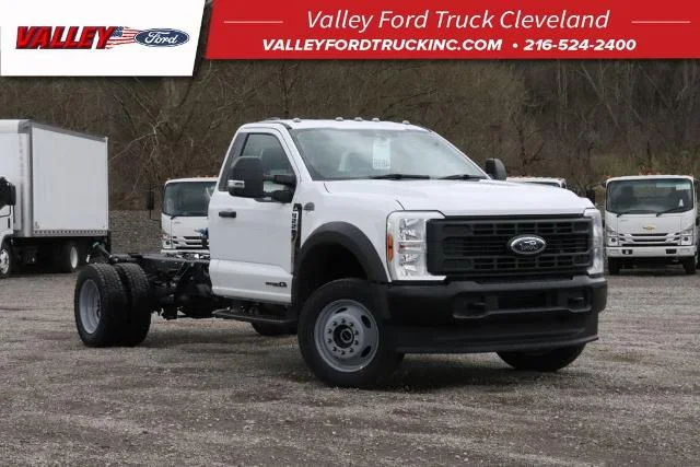 New 2025 Oxford White Ford F-550® XL image 20