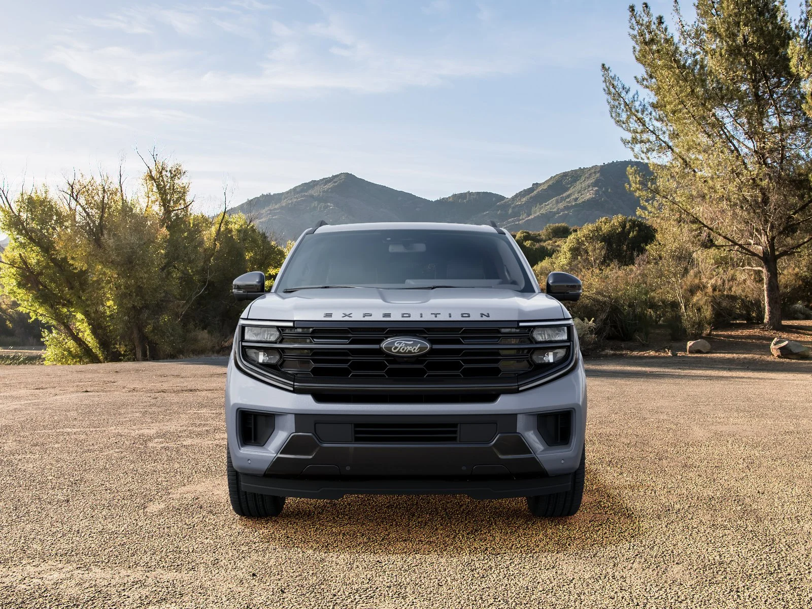 New 2027 Glacier Gray Metallic Tri-Coat Ford Platinum image 27