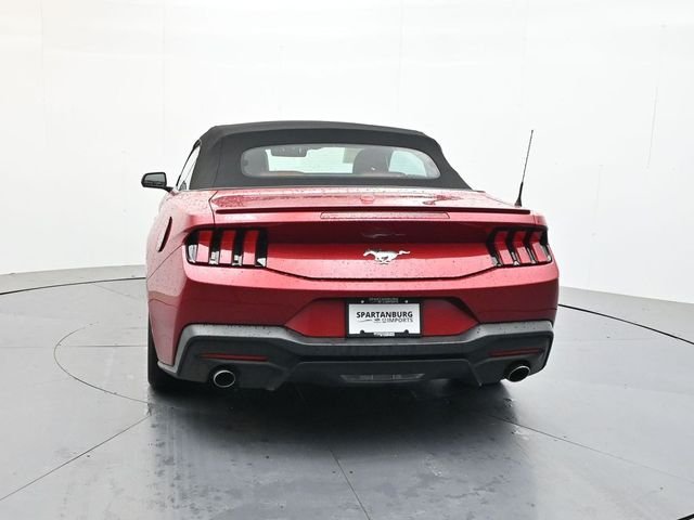 Used 2024 Red Ford EcoBoost Premium image 6