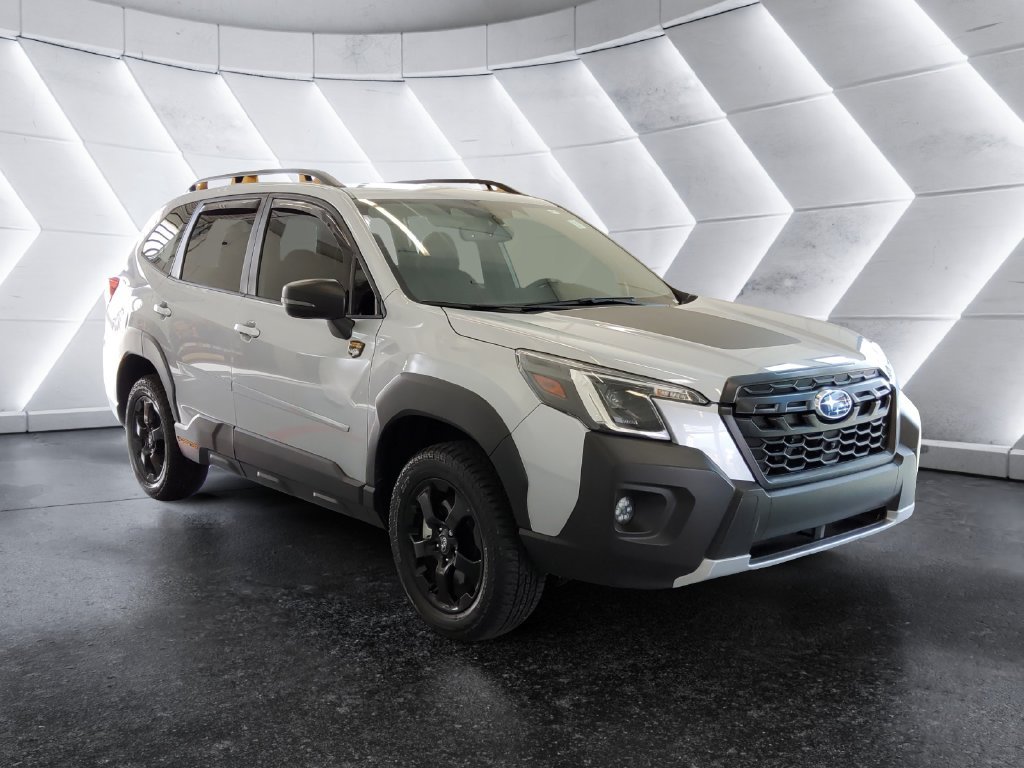 Used 2024 Silver Subaru Wilderness image 1