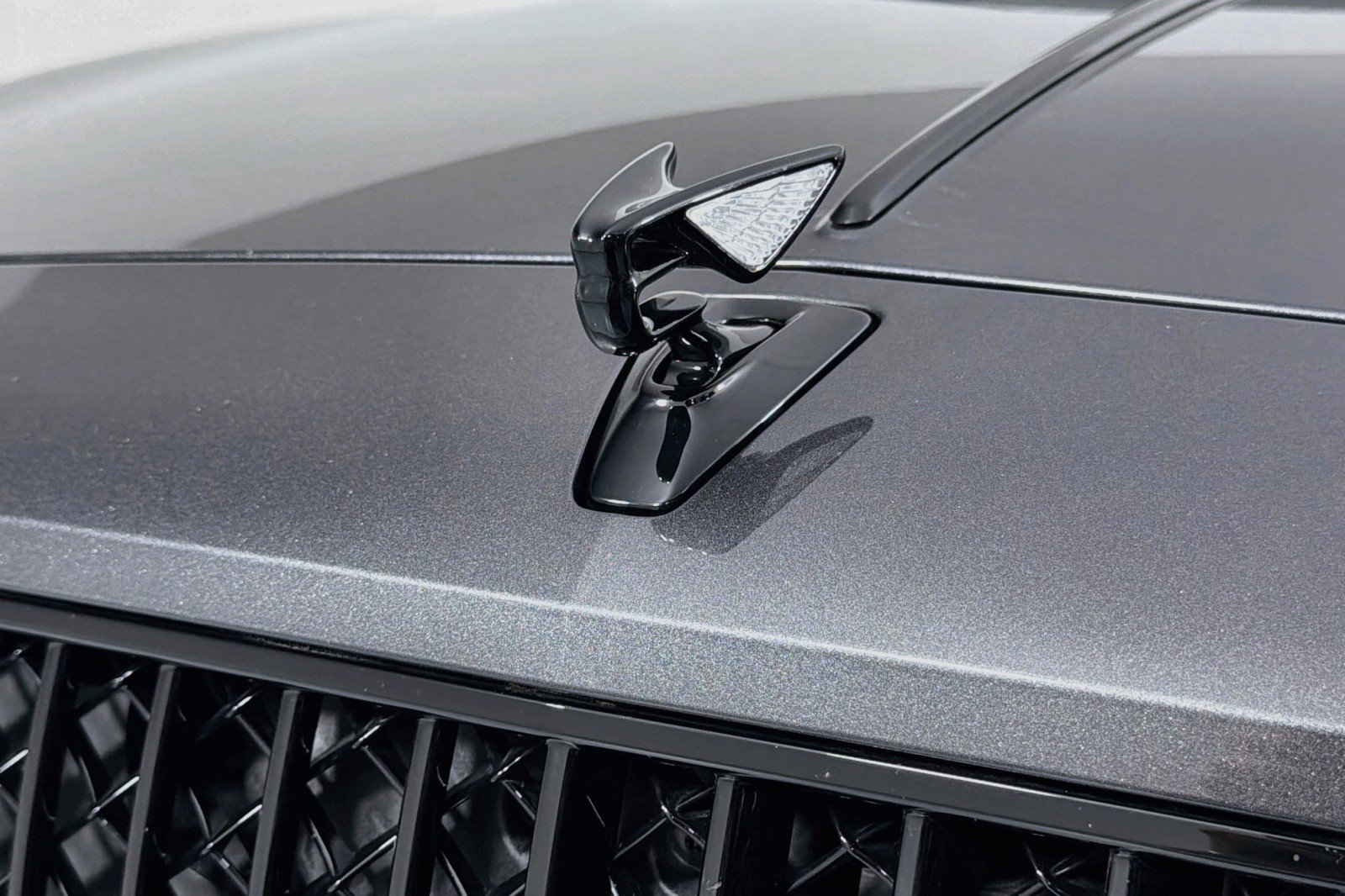 Used 2021 GRAY Bentley W12 image 14