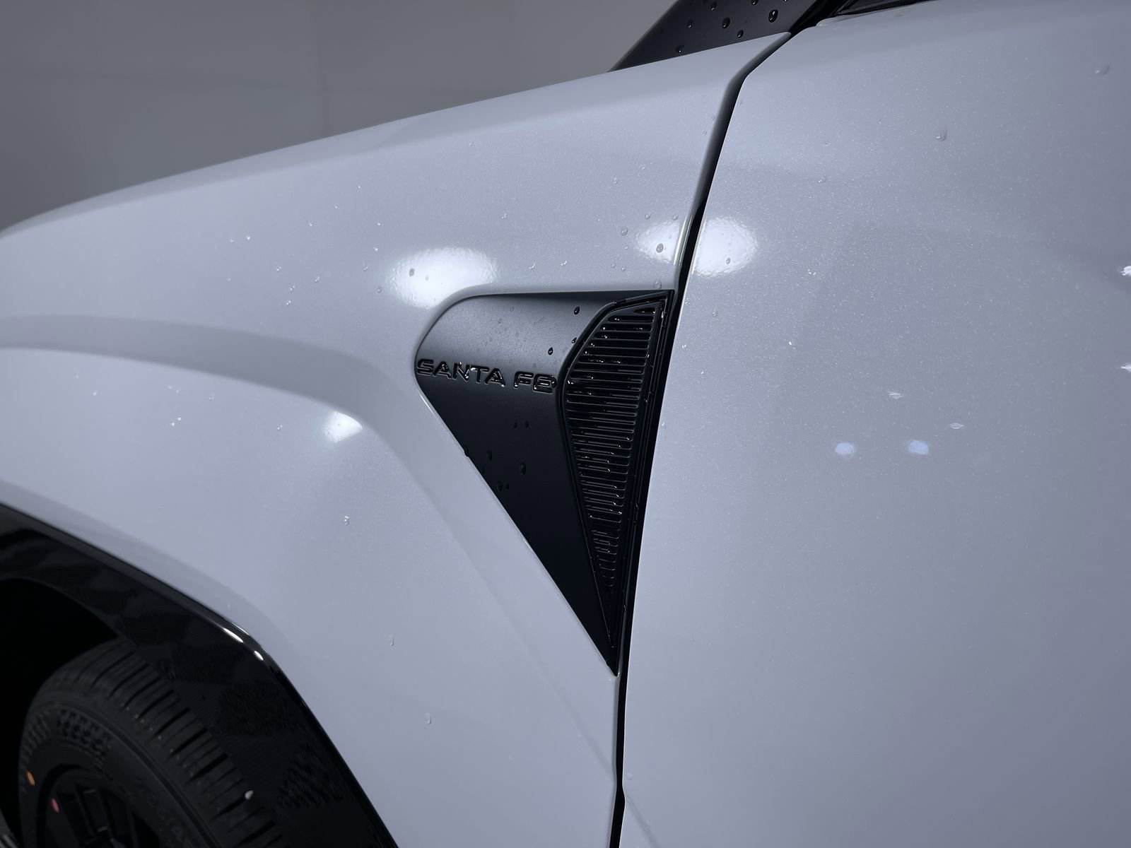 2026 Hyundai Santa Fe Calligraphy - Photo 9