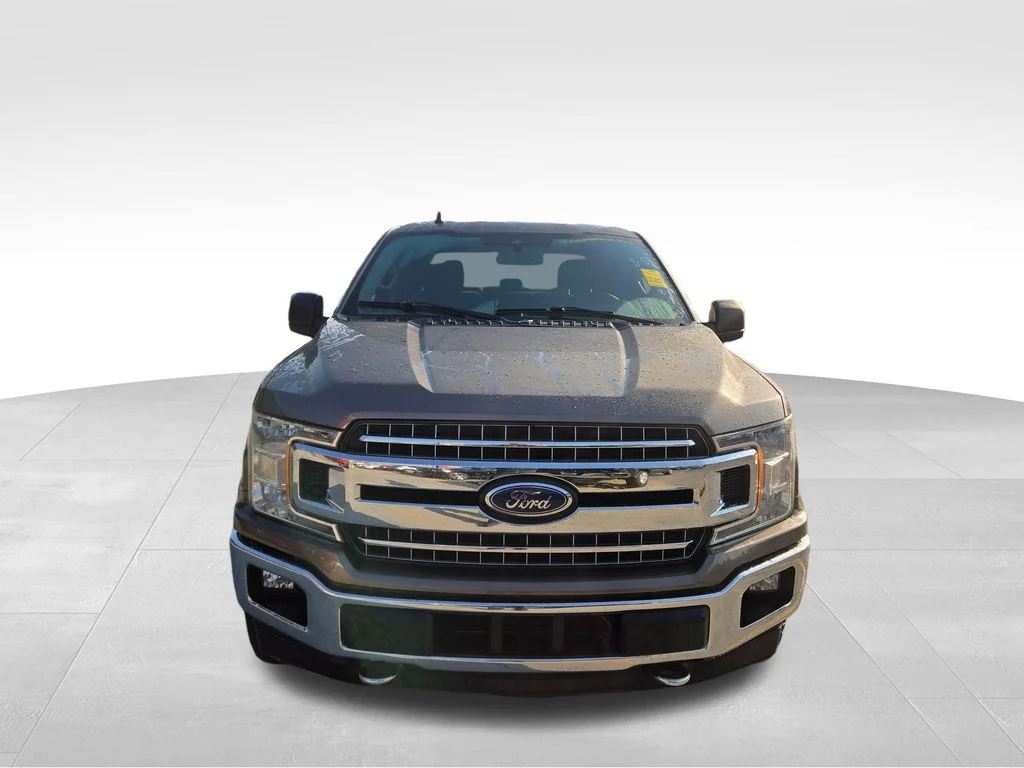 Used 2020 Gray Ford  image 2