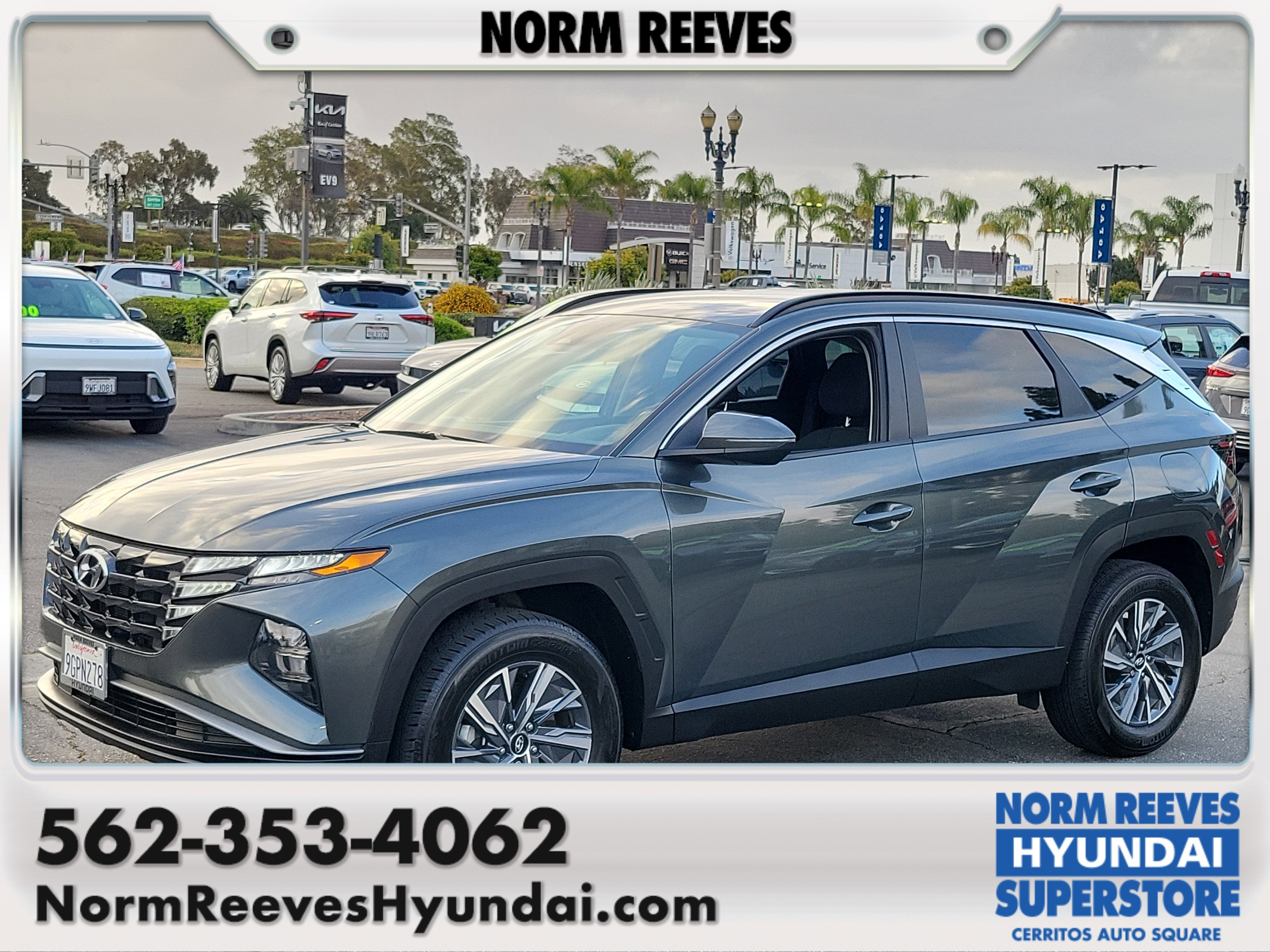 2023 Hyundai Tucson Blue HEV AWD's photo