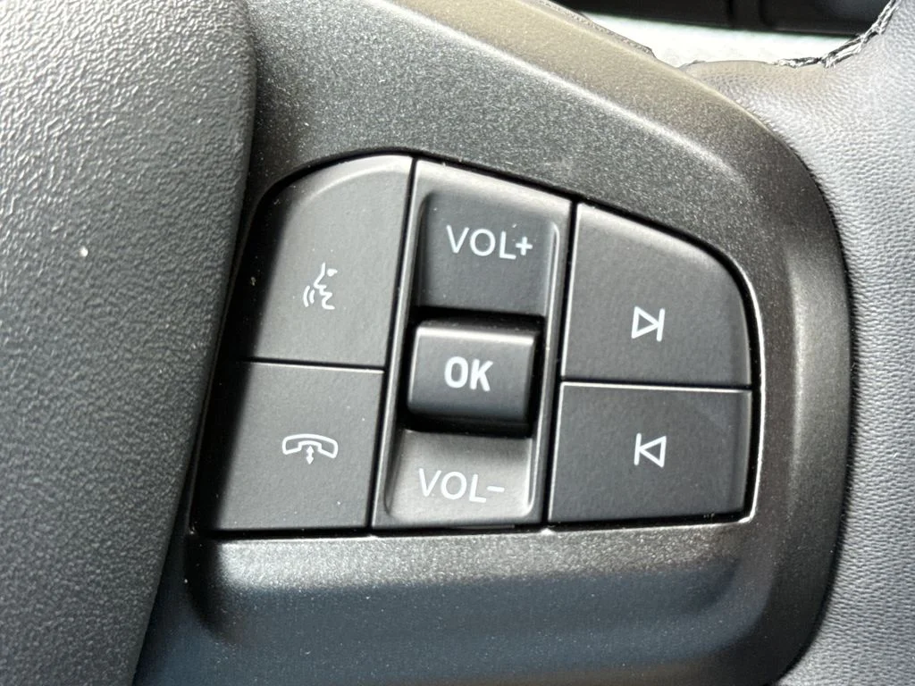 New 2026 Gray Ford Premium image 31