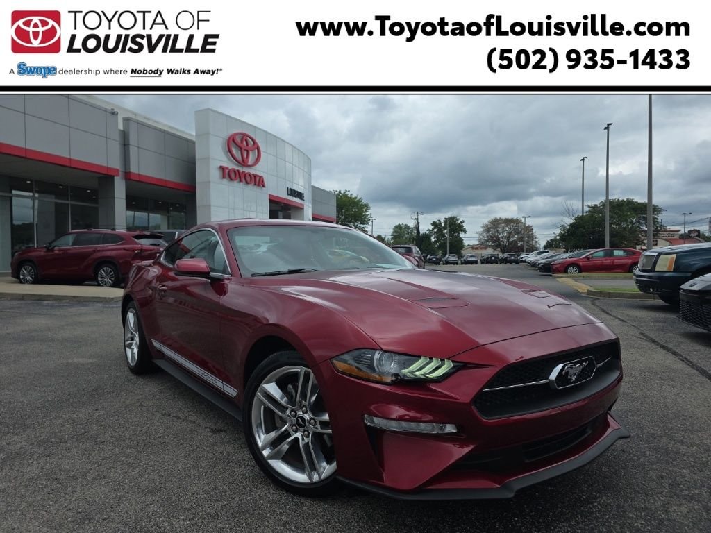 Used 2019 Red Ford EcoBoost Premium image 1