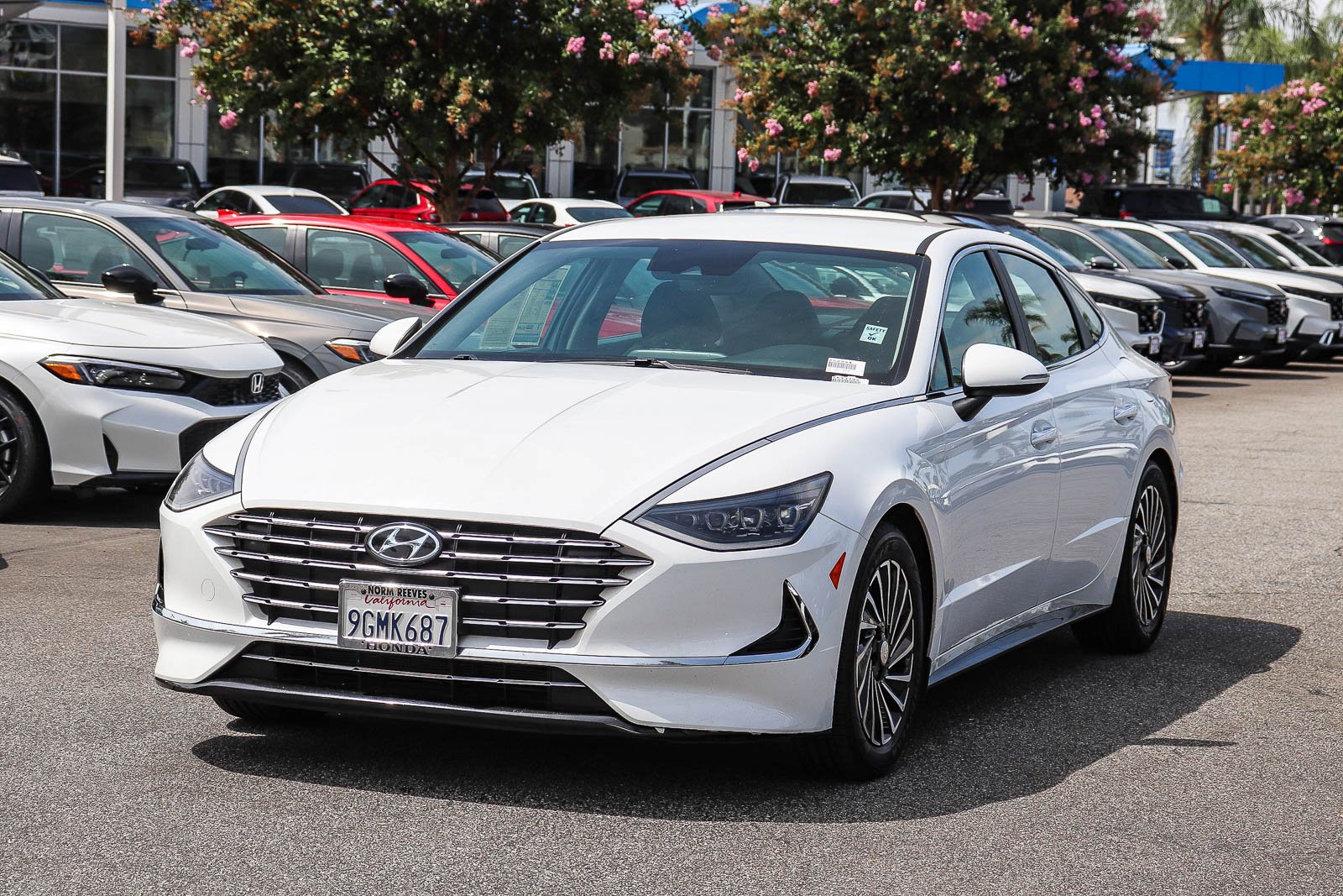 Used 2023 Serenity White Hyundai SEL image 3