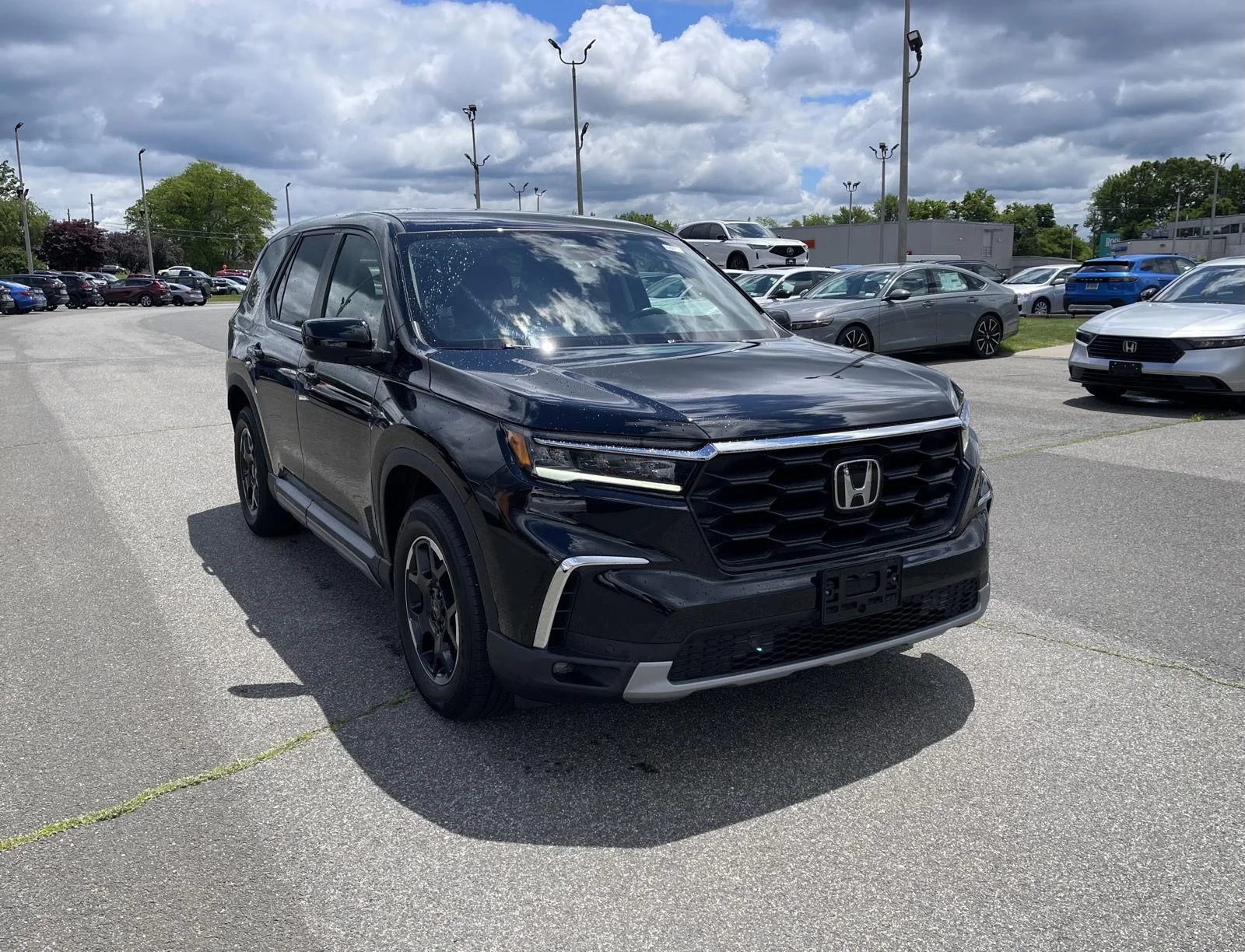 2025 Honda Pilot EX-L AWD's photo