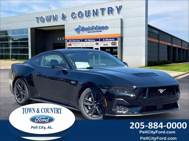 New 2026 Shadow Black Ford TCcustoms image 25