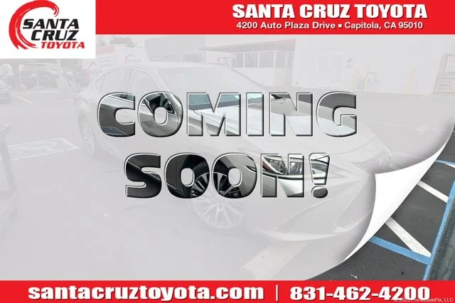 2020 Lexus ES 300h 300h's photo