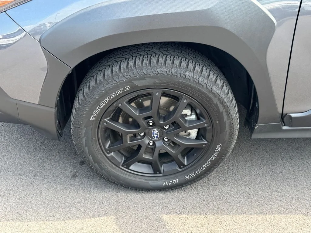 Used 2025 Gray Subaru Wilderness image 19