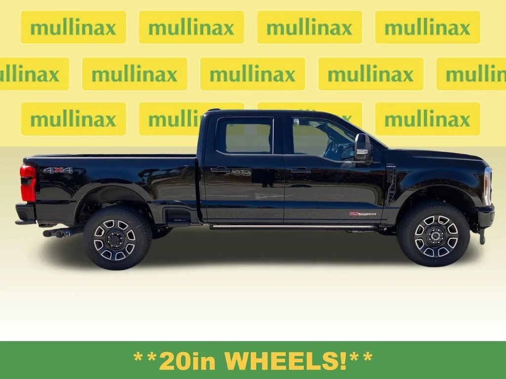 New 2026 Black Ford Platinum image 2