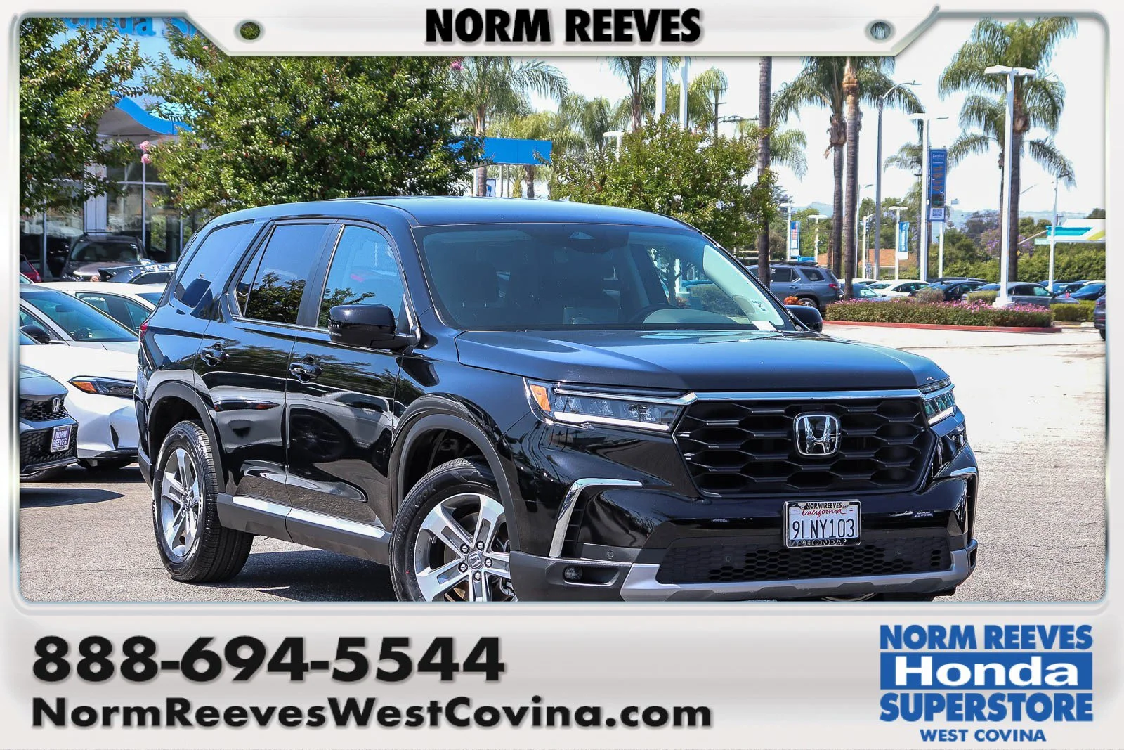 2024 Honda Pilot EX-L 8-Occupant AWD's photo