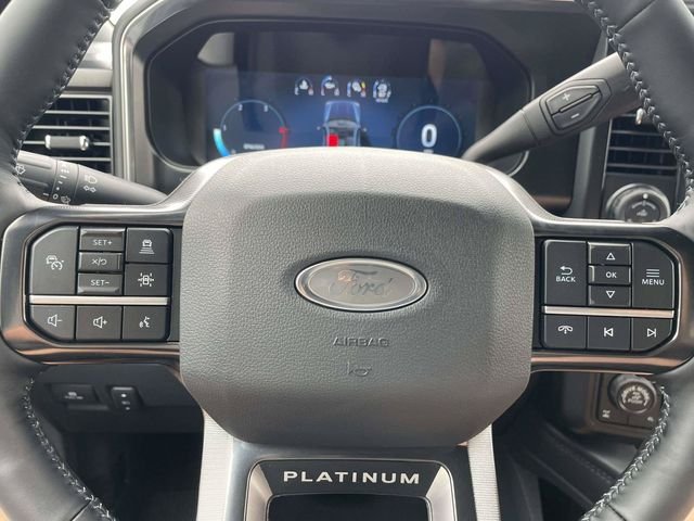 New 2026 Gray Ford Platinum image 12