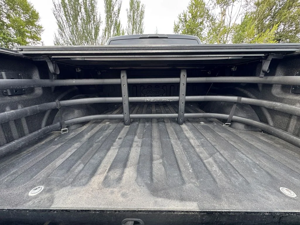 Used 2017 Shadow Black Ford Raptor image 10