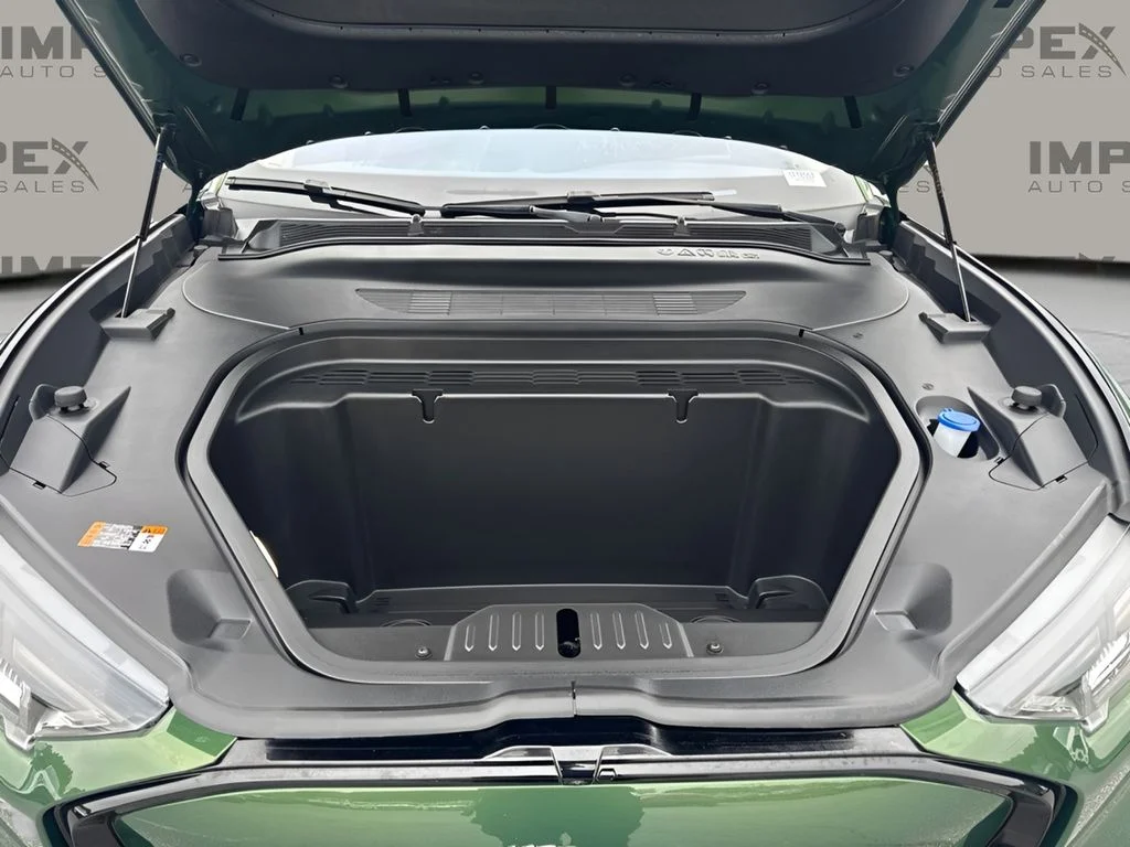 Used 2024 Green Ford Premium image 19