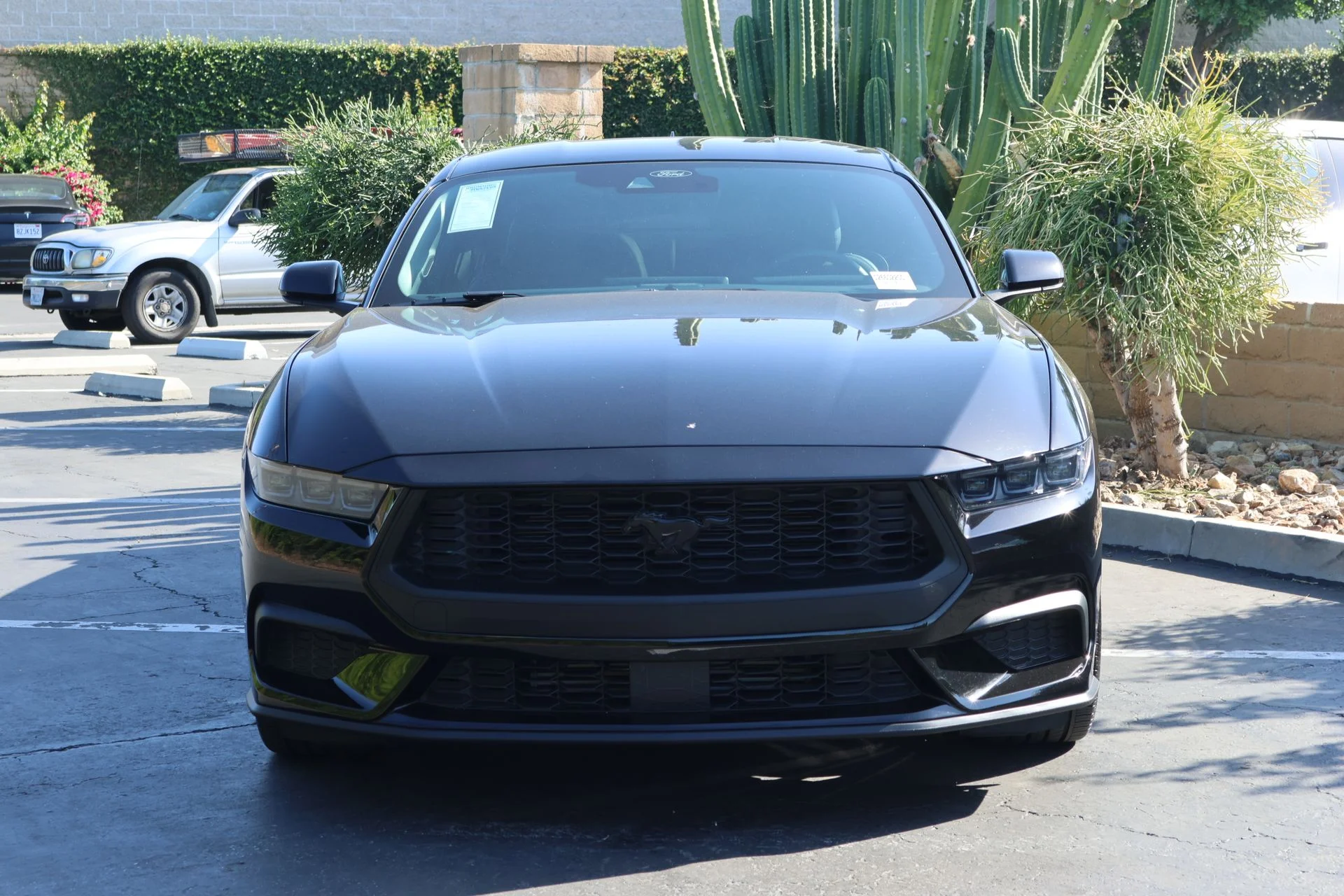 Used 2025 Black Ford EcoBoost image 3