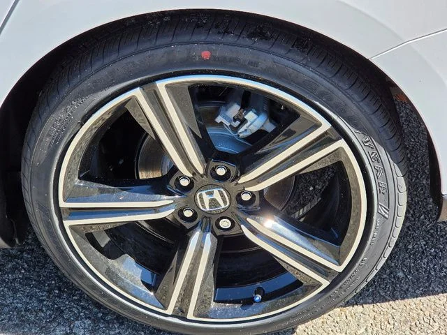 New 2026 Platinum White Pearl Honda SE image 6