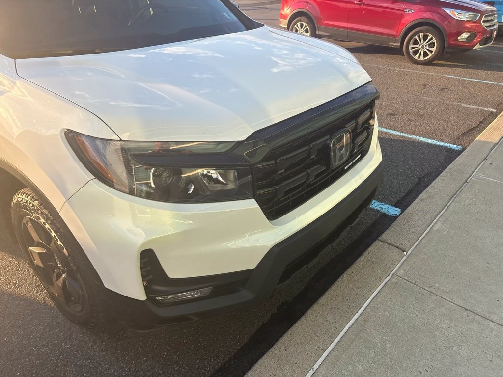 Used 2025 White Honda Black Edition image 1
