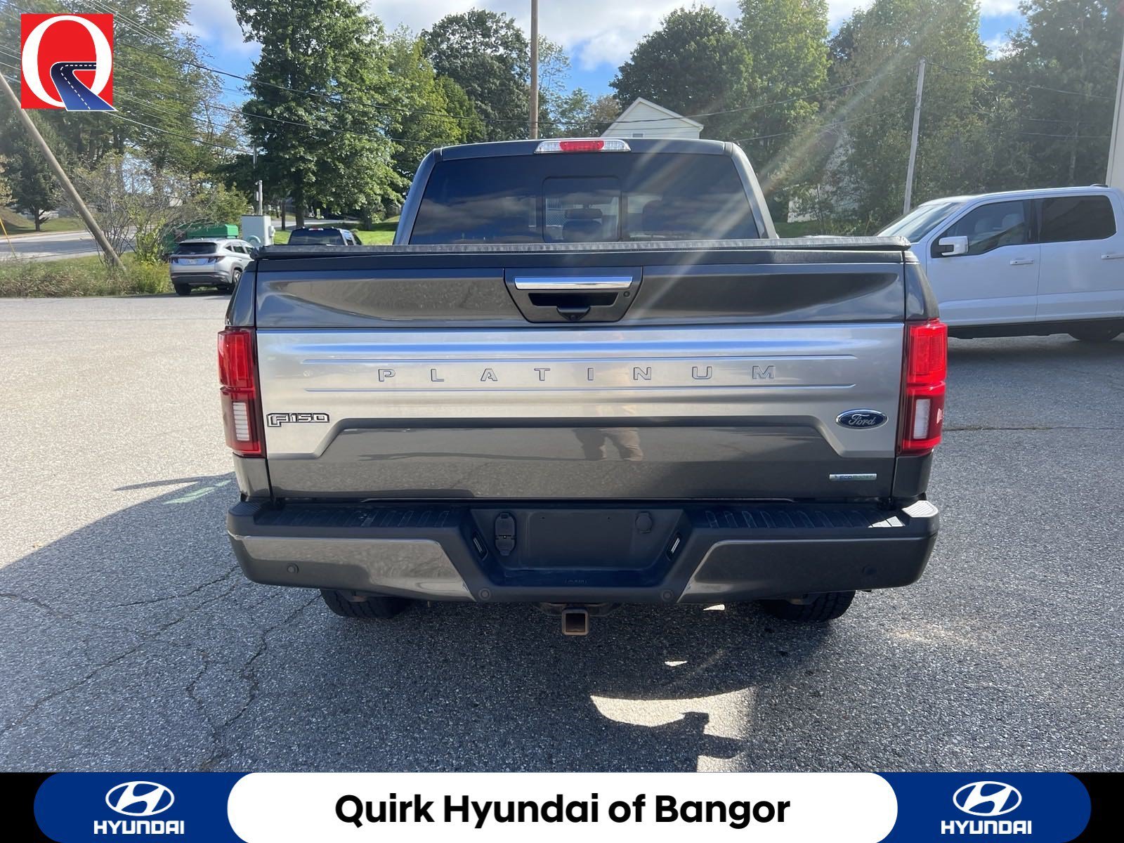 Used 2019 Gray Ford Platinum image 6