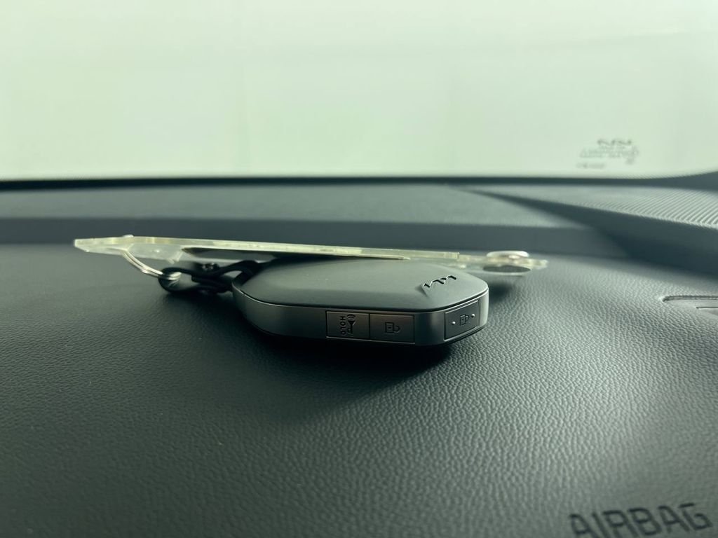 New 2026 Panthera Metal Kia LX image 30