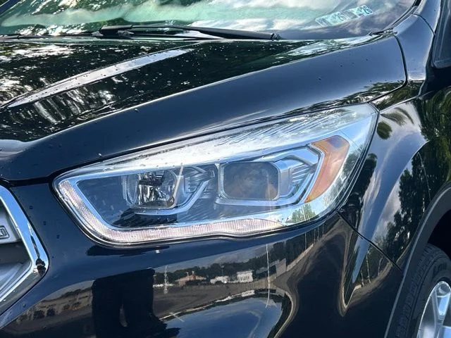 Used 2019 Black Ford Titanium image 11