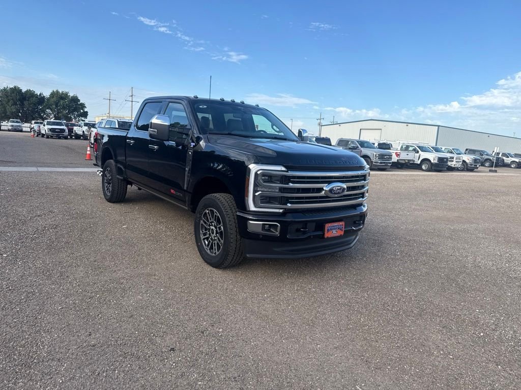 New 2026 Agate Black Metallic Ford Platinum image 9