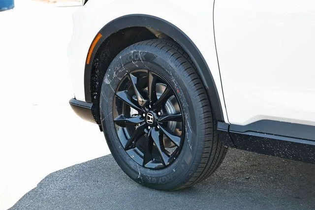 New 2026 Platinum White Pearl Honda Sport-L image 7